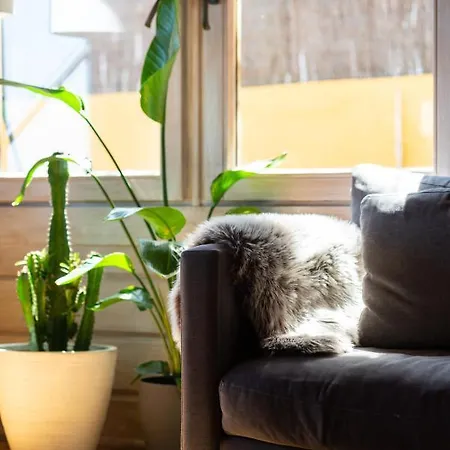 Finland House Barcelona- Ideal Familias